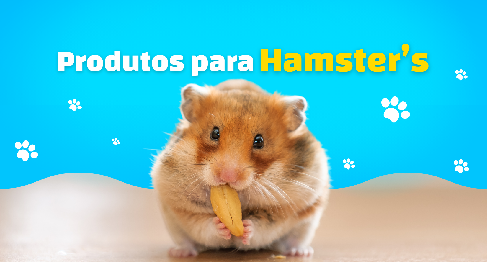hamster4